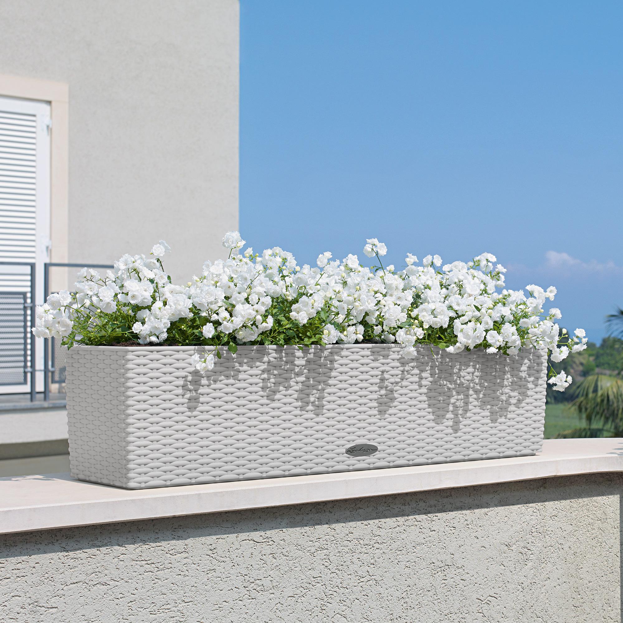 le_balconera-cottage80_product_addi_06